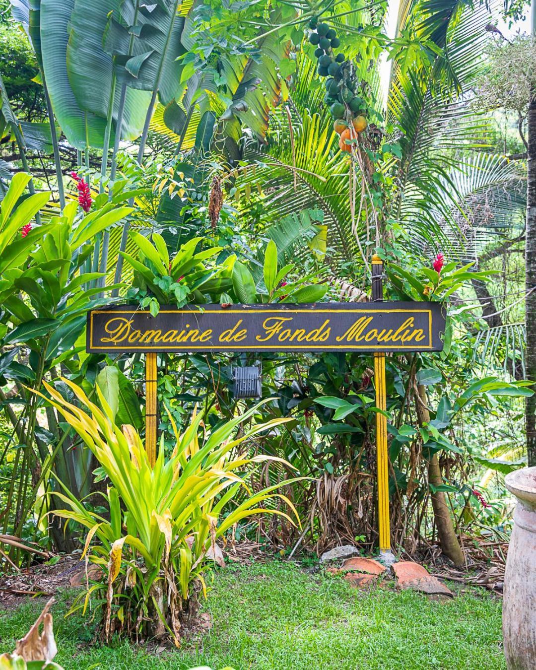 Вилла Martinique Treehouse Canton Suisse Экстерьер фото