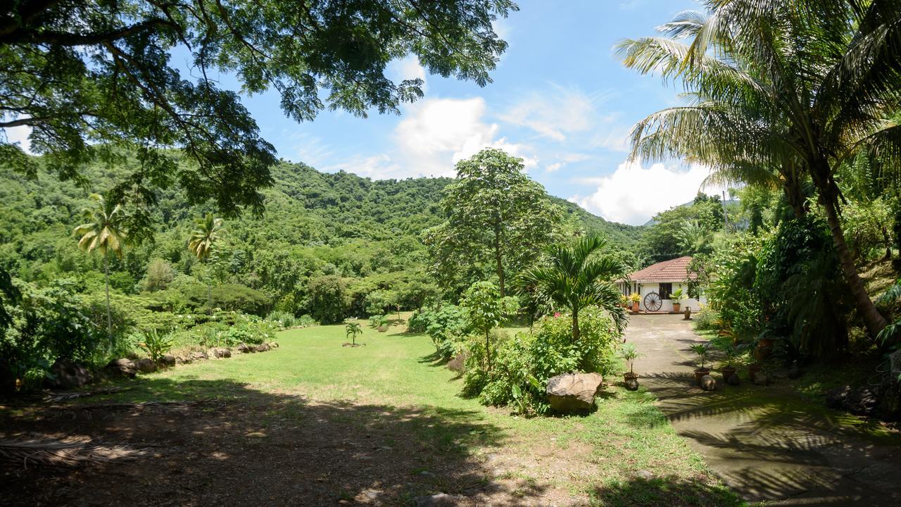 Вилла Martinique Treehouse Canton Suisse Экстерьер фото