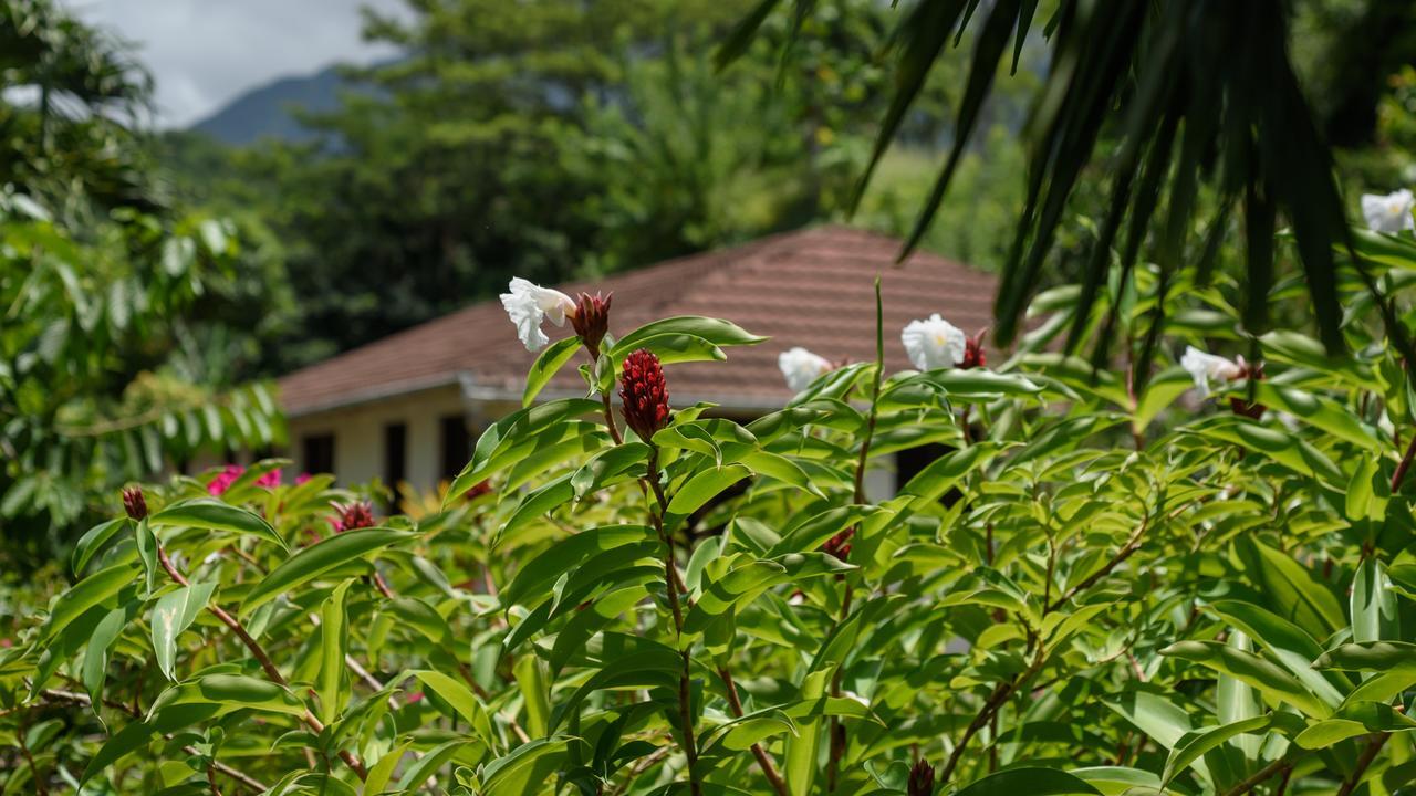 Вилла Martinique Treehouse Canton Suisse Экстерьер фото
