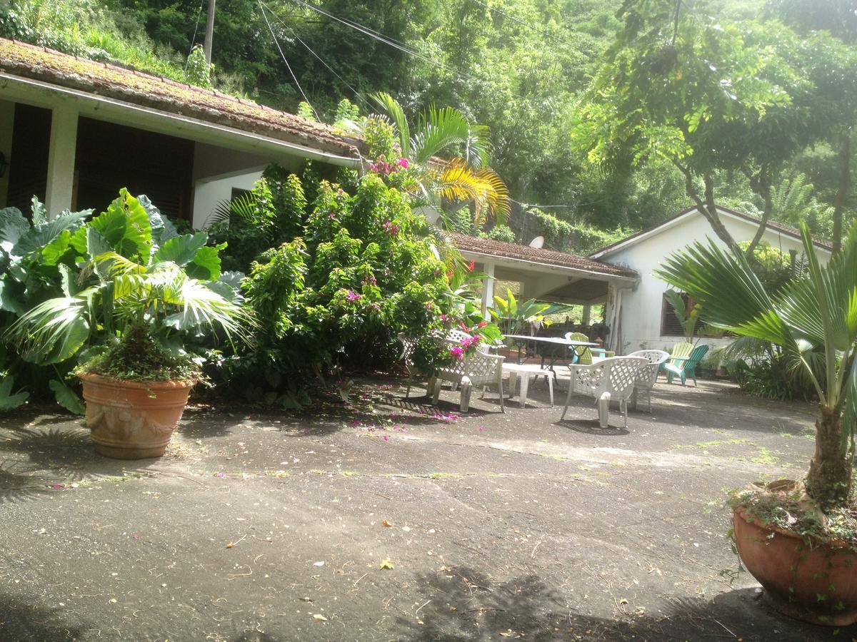 Вилла Martinique Treehouse Canton Suisse Экстерьер фото