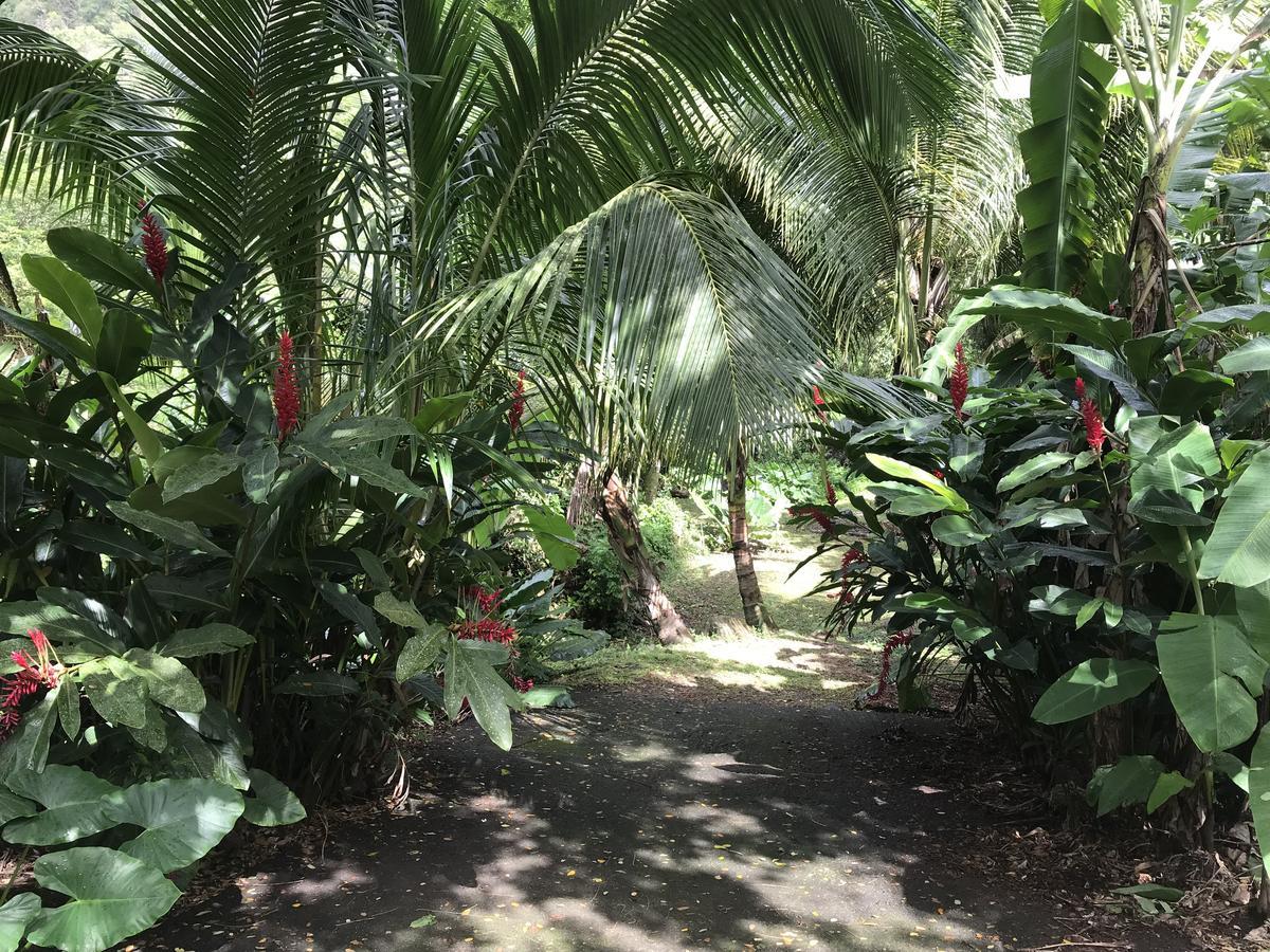 Вилла Martinique Treehouse Canton Suisse Экстерьер фото