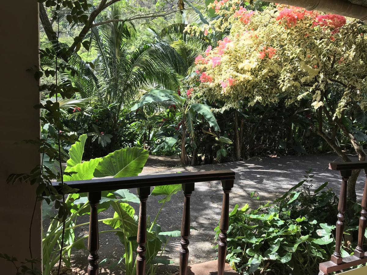 Вилла Martinique Treehouse Canton Suisse Экстерьер фото