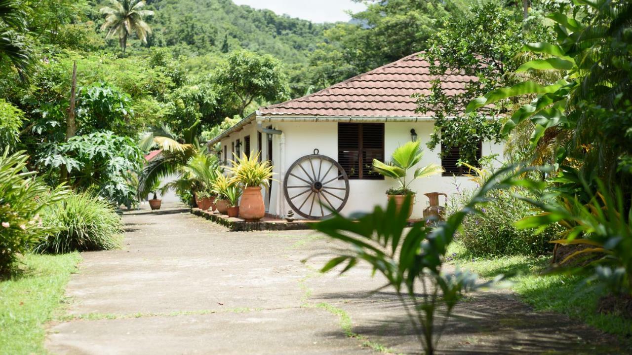 Вилла Martinique Treehouse Canton Suisse Экстерьер фото